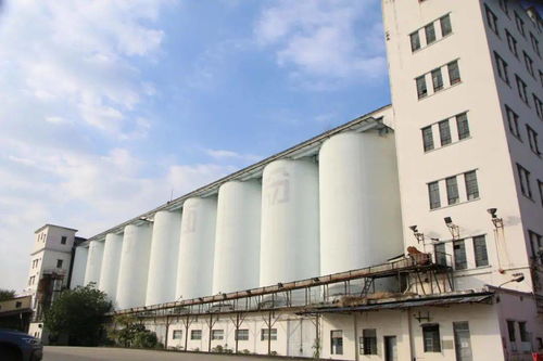 南方面粉廠拆除收尾，工業遺產煥新啟程