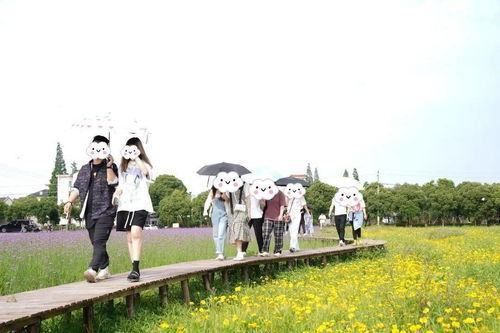 趣也青年 這個(gè)周末有點(diǎn)甜——戶外燒烤、游戲暢玩與花海打卡的動(dòng)漫之旅