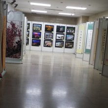 上海金喜展覽服務公司 專業(yè)展覽服務助力企業(yè)品牌騰飛