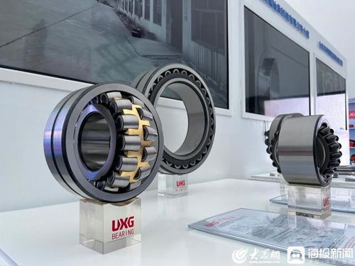 張百順巡看第三屆跨國公司領導人青島峰會聊城展區(qū) 展示區(qū)域魅力，共促開放合作